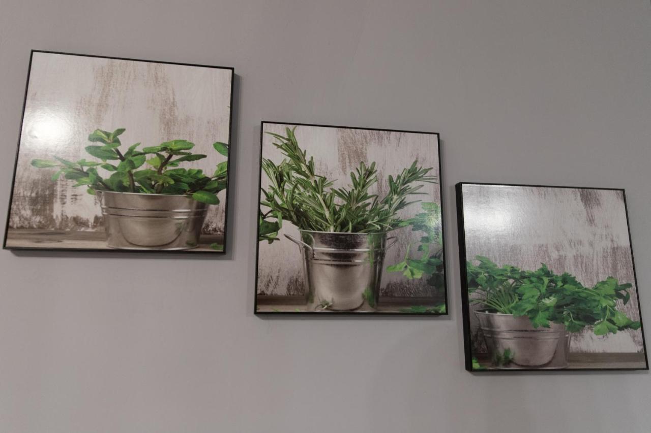 ניסה Apartament Marlenka מראה חיצוני תמונה